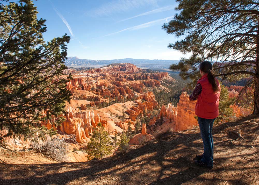 Photo of a woman overlooking the Hoodoo Amphitheater in Bryce Canyon National Park