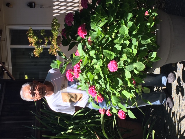 An older Tom Suzuki standing next to a large flower bush