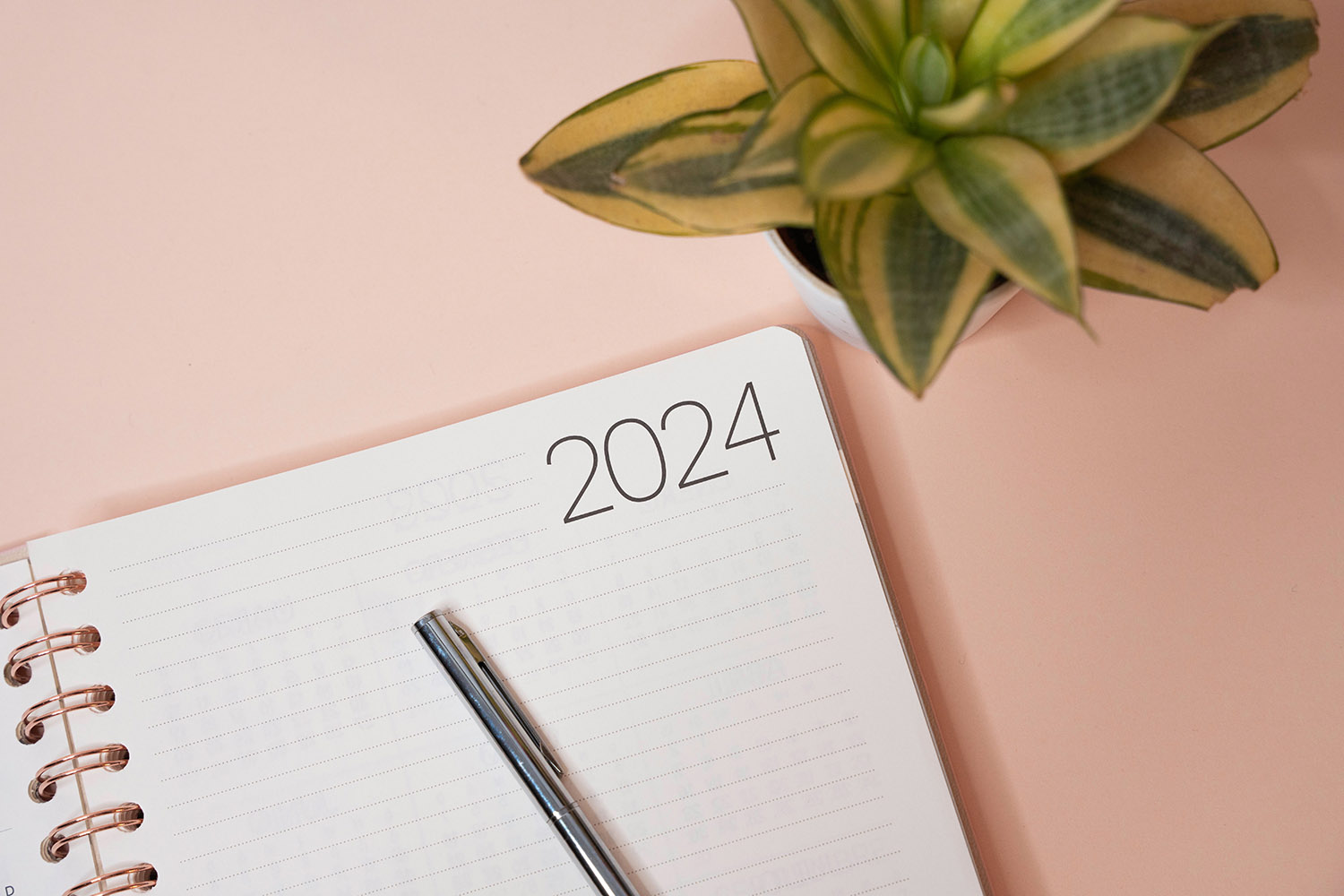 2024 planner open on a pink desk, next to a small houseplant
