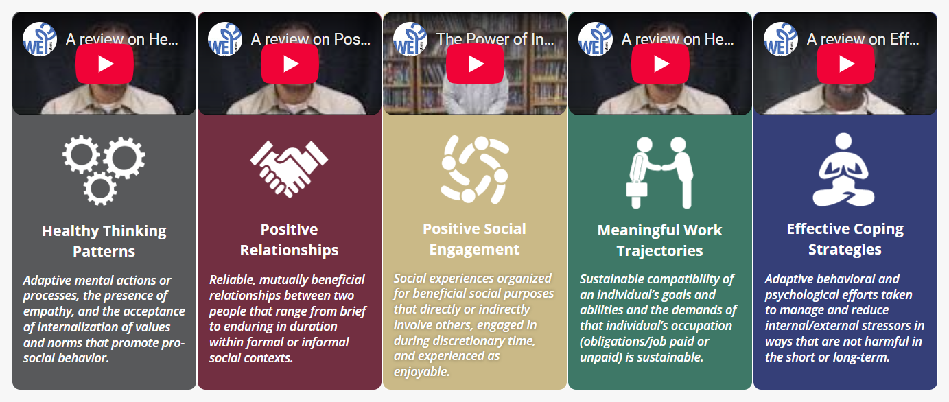 A graphic with descriptions of the five keys of Wellbeing & Equity Innovations 5-Key Model.